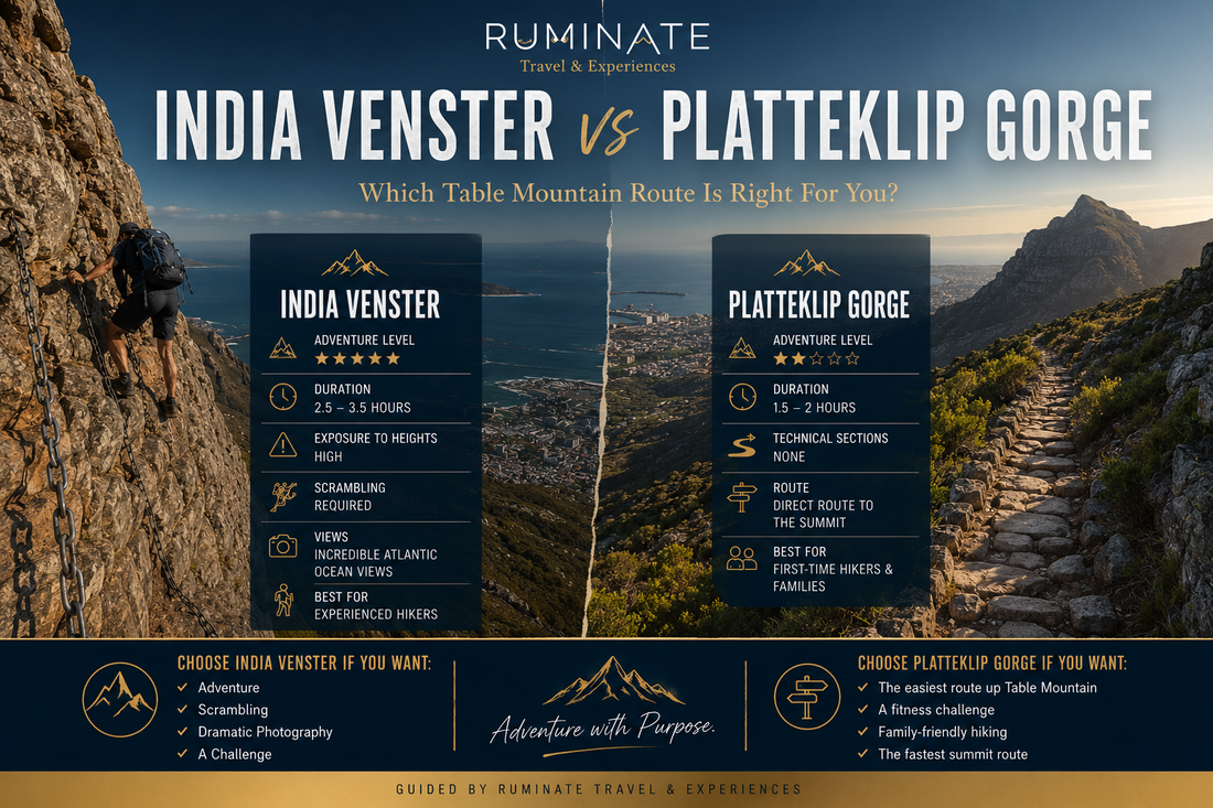 India Venster vs Platteklip Gorge: Which Table Mountain Route is Right for You?