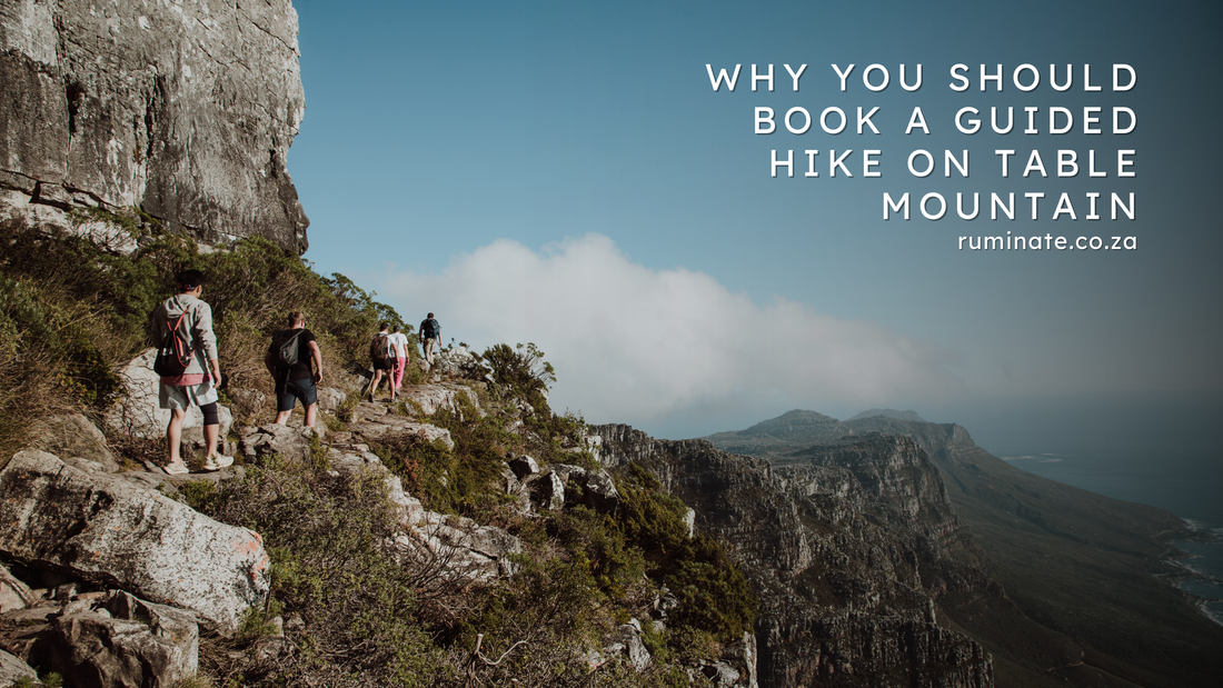 Why you should book a safe guided hiking tour in Cape Town.