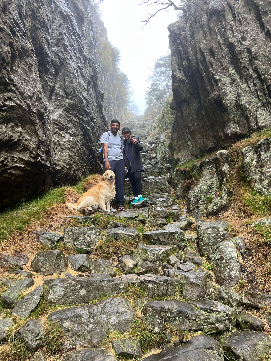 Platteklip Gorge – Table Mountain Guided Hike