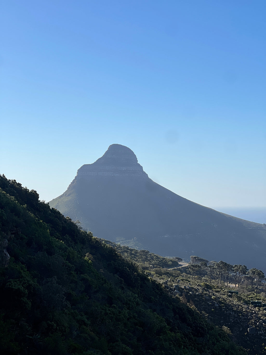 Platteklip Gorge – Table Mountain Guided Hike