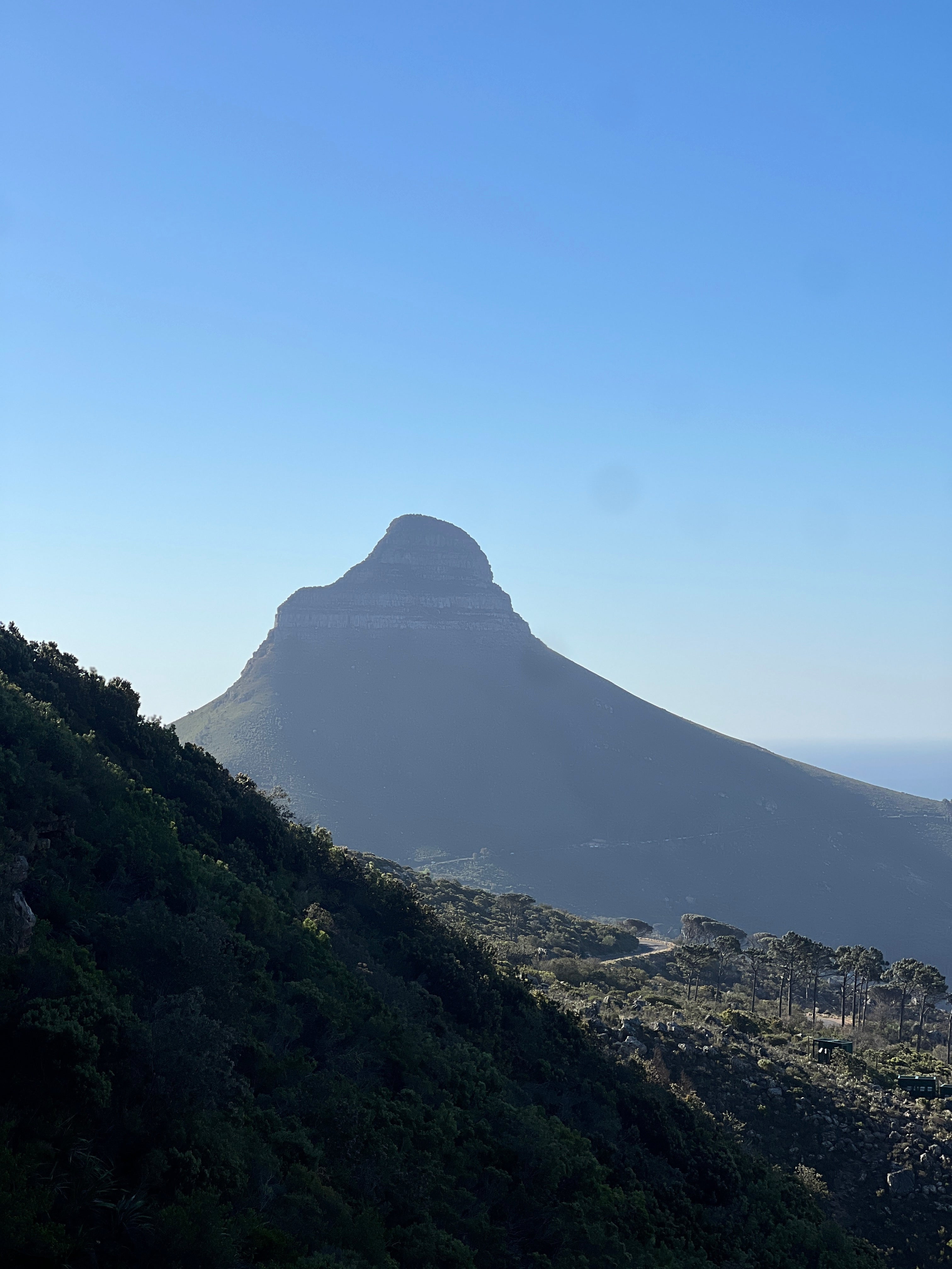 Platteklip Gorge – Table Mountain Guided Hike