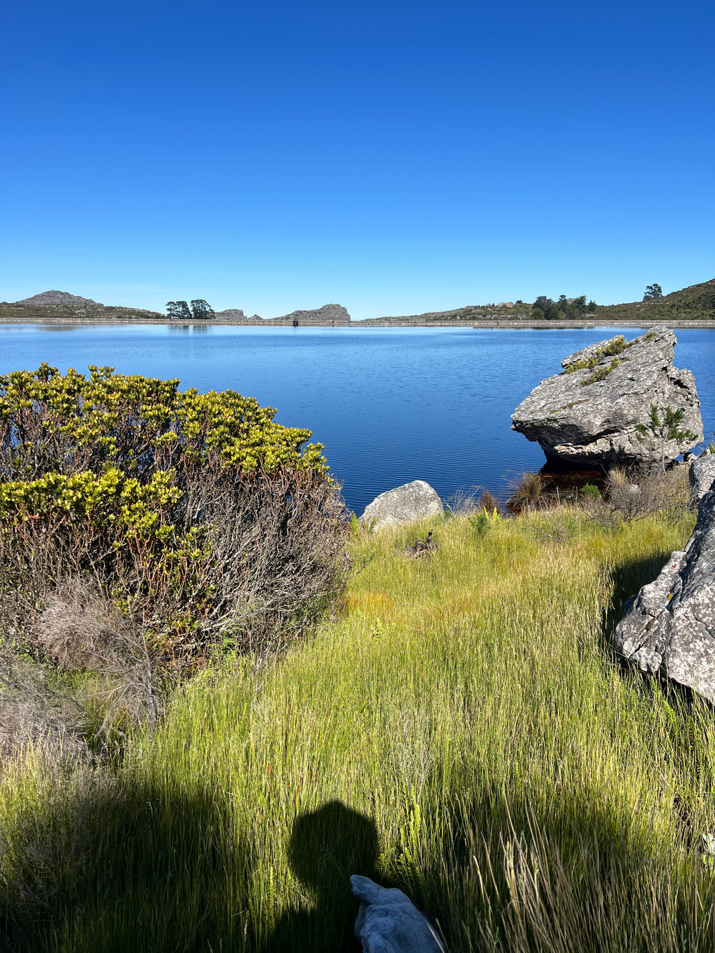 Skeleton Gorge - Table Mountain Guided Hike