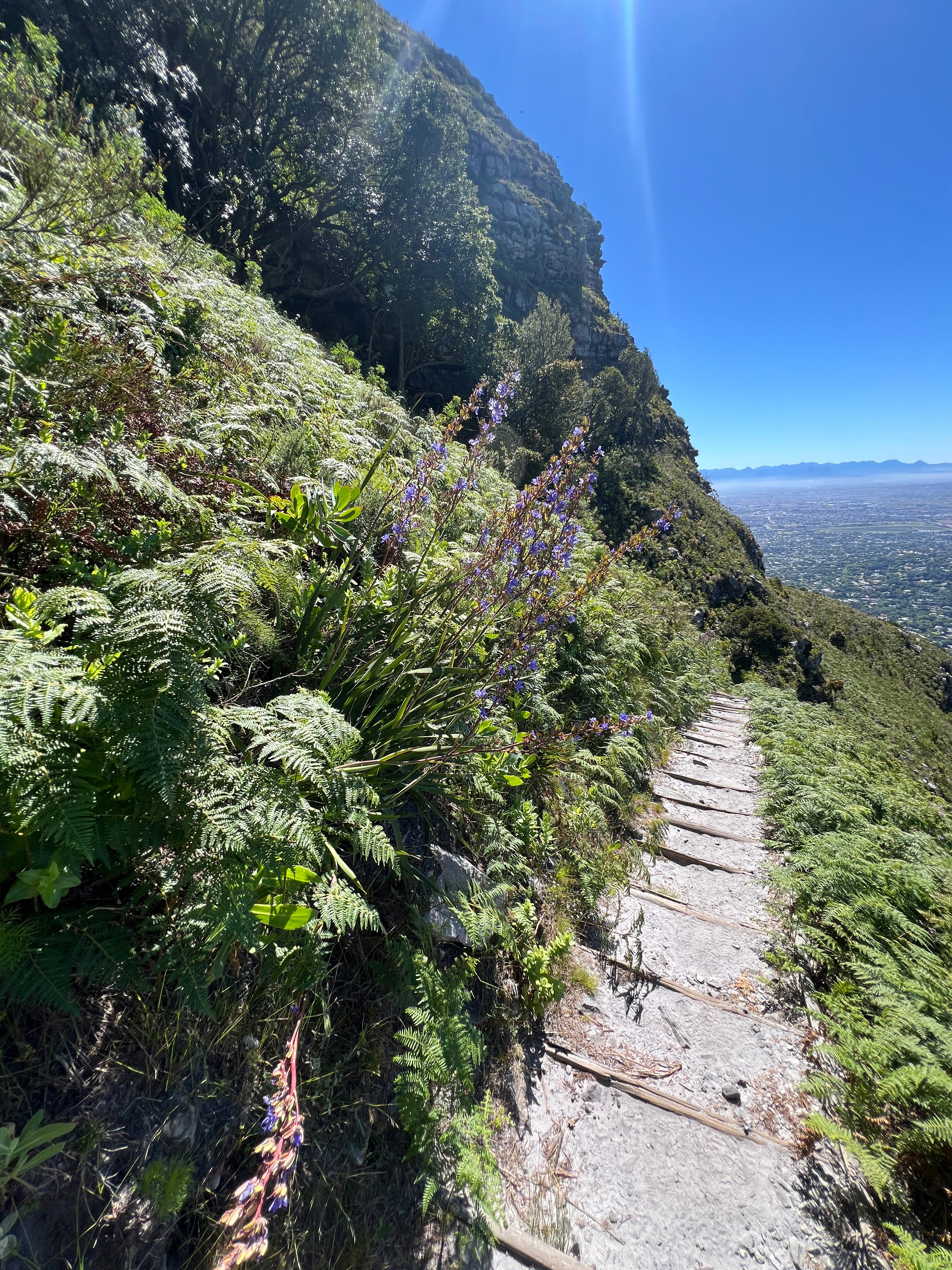 Skeleton Gorge - Table Mountain Guided Hike