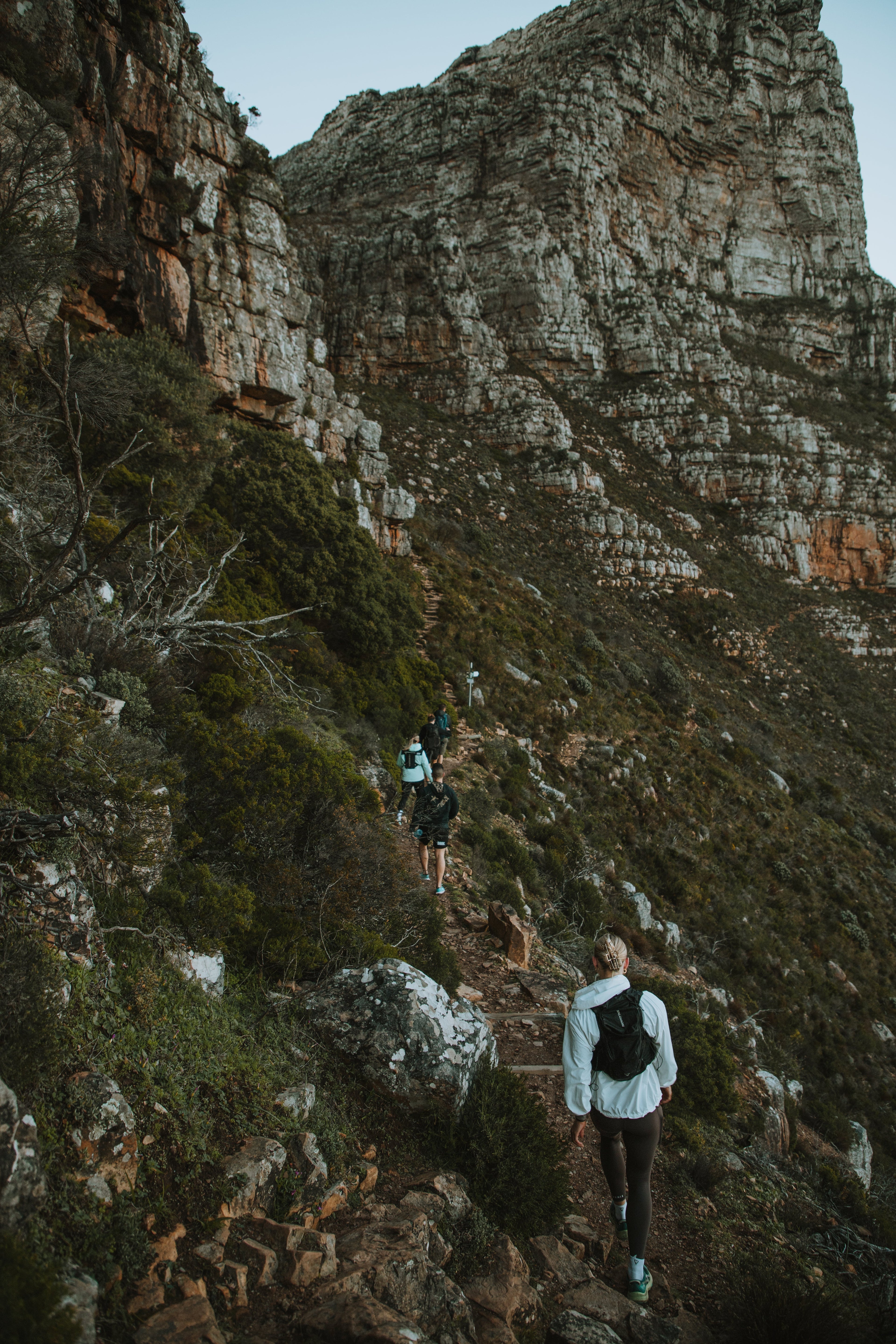 Woody Ravine Guided Hike – Table Mountain