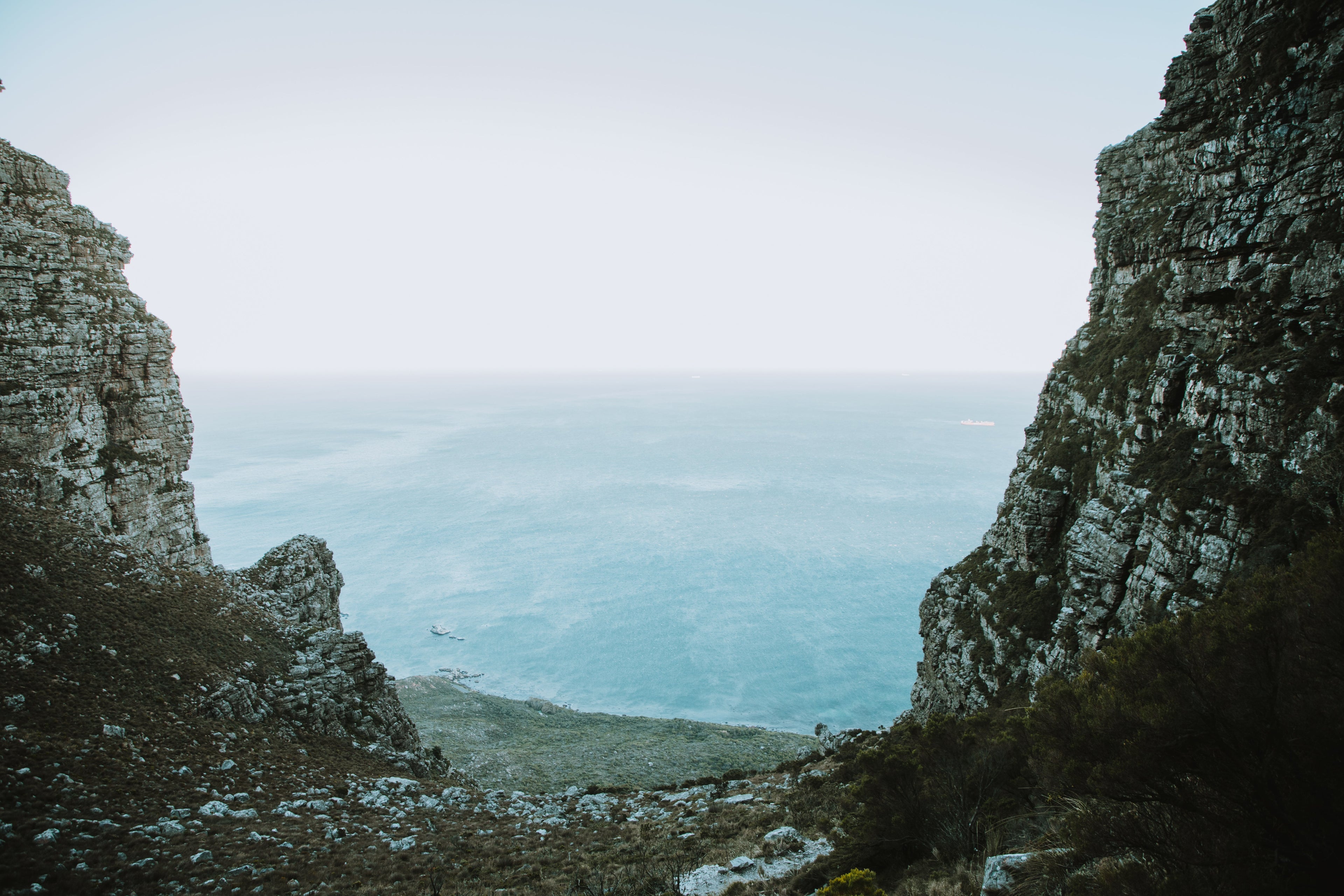 Woody Ravine Guided Hike – Table Mountain