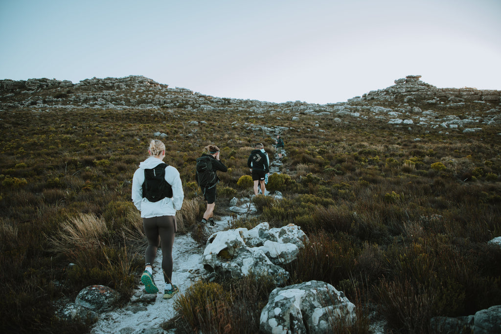 Woody Ravine Guided Hike – Table Mountain