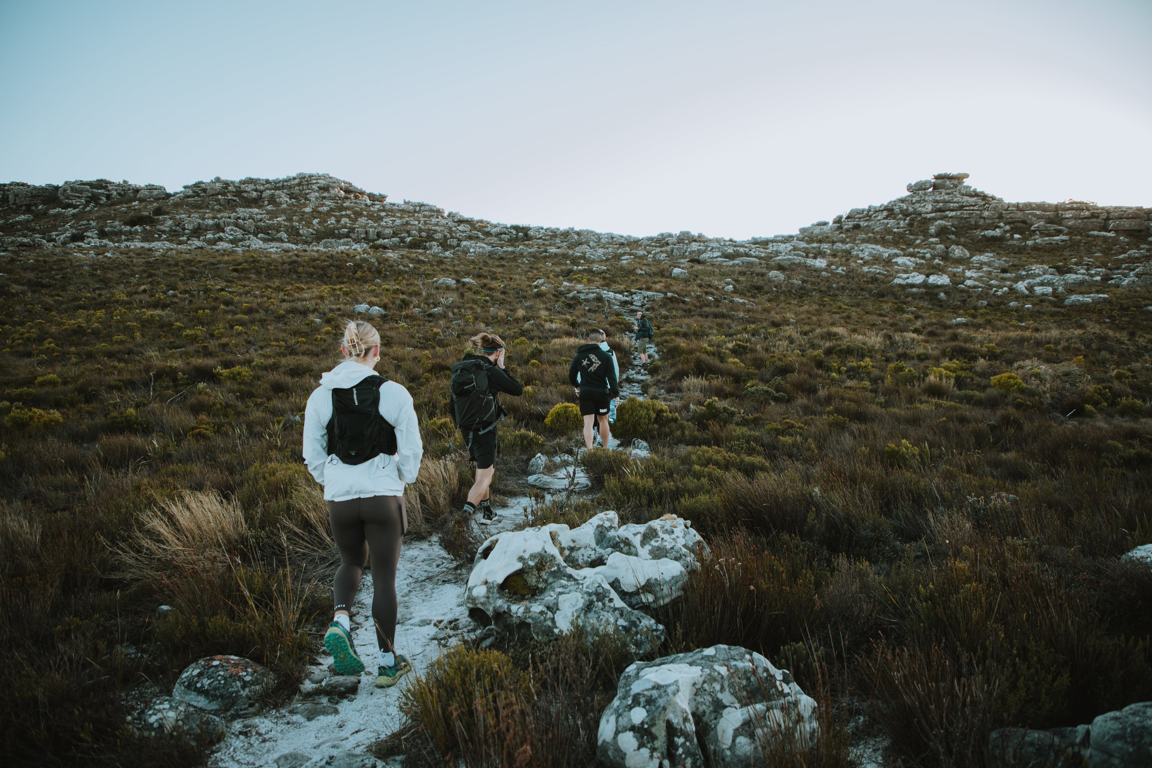 Woody Ravine Guided Hike – Table Mountain