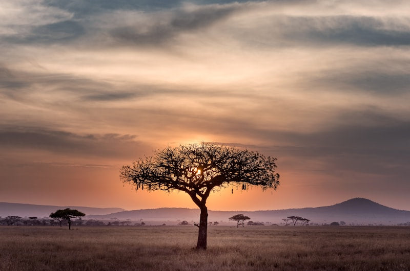 Custom travel experiences across South Africa with Ruminate